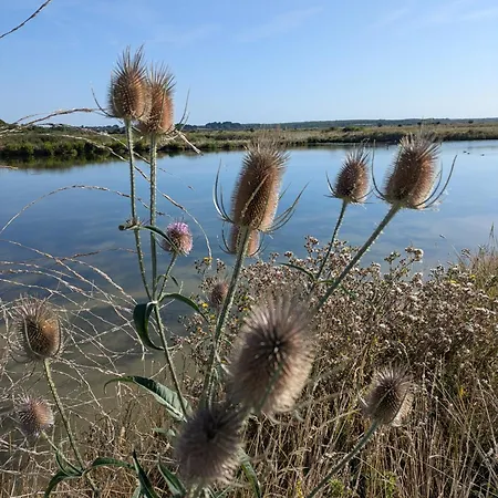 Le Des Marais Шале Saint-Molf